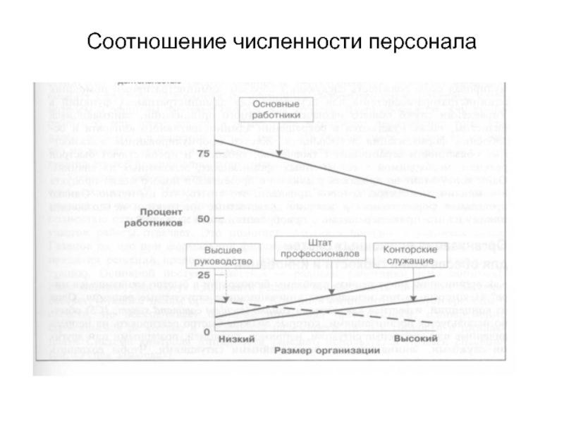 Соотношения кадров. Соотношение численности персонала. Размер организации по численности персонала. Норма соотношения численности. Соответствие размеров организации и численности ее персонала:.