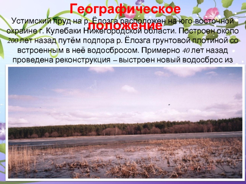 Географическое положениеУстимский пруд на р. Ёлозга расположен на юго-восточной окраине г. Кулебаки Нижегородской области. Построен около 200