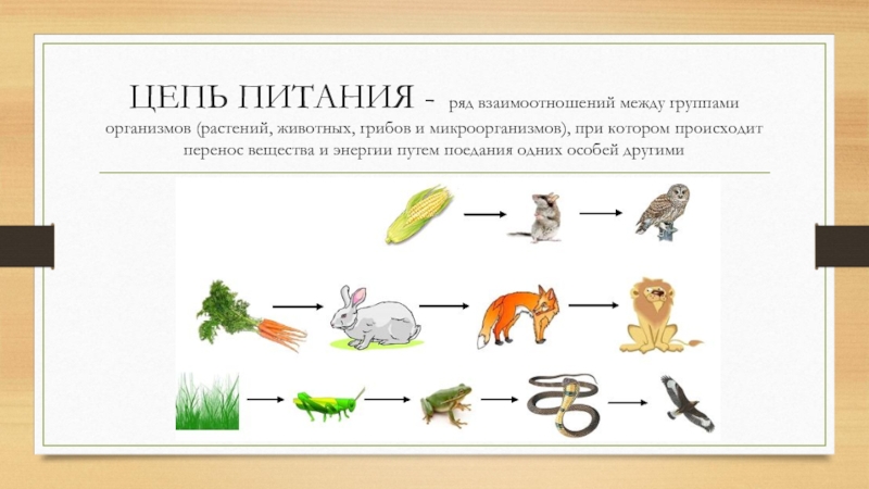 Составление схем пищевых цепей и переноса энергии в экосистеме 9 класс таблица