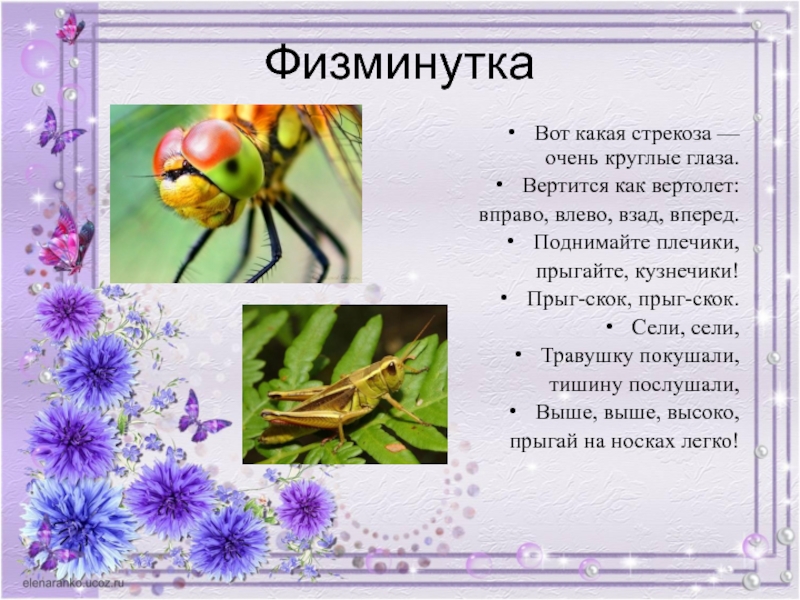 Тема насекомые во второй. Стихи про насекомых. Физминутка насекомые. Загадки на тему насекомые. Физминутка на тему насекомые.