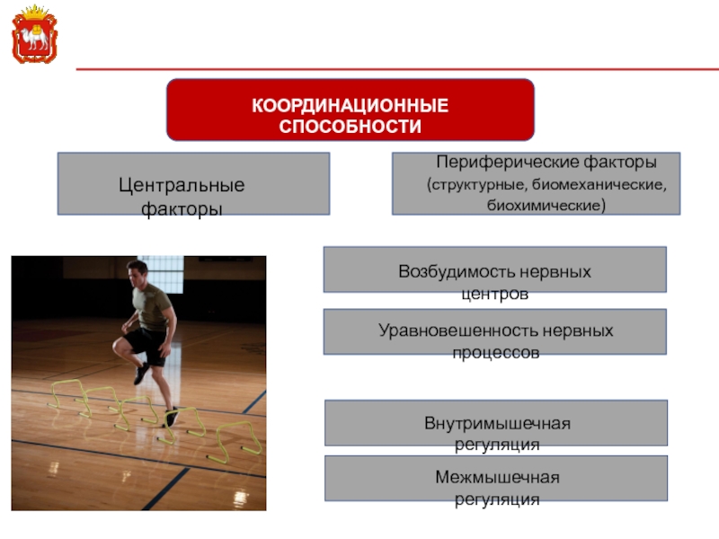 Основные разделы планирования в спорте. Координационные способности виды спорта. Биомеханические факторы. Координационные способности факторы. Виды планирования в спорте.