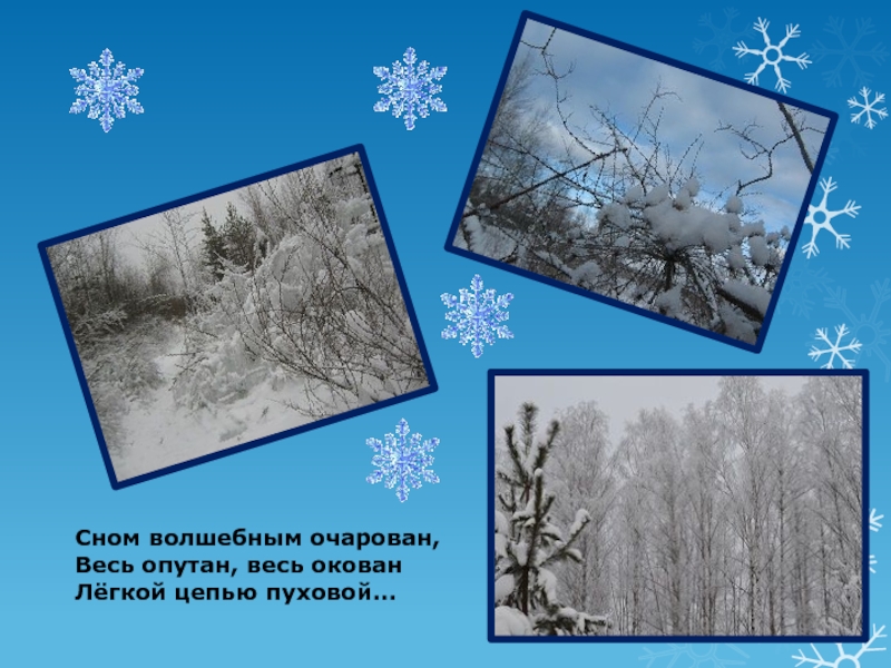 Ф тютчев чародейкою зимою. Сном волшебным очарован весь опутан весь окован легкой цепью пуховой. Есенин Чародейкою зимою. Тютчев 2 класс Чародейкою зимой. Весь опутан, весь окован легкой цепью пуховой….