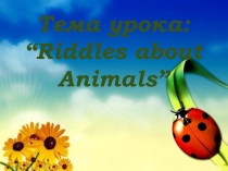 Riddles about Animals