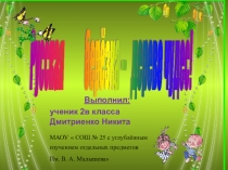 Русская берёза - дерево чудес. Подберёзовик.