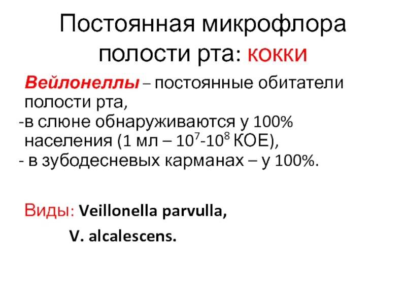 Постоянная микрофлора. Постоянная микрофлора полости рта. Микробиота ротовой полости. Облигатная микрофлора полости рта. Постоянный состав микрофлоры ротовой полости.