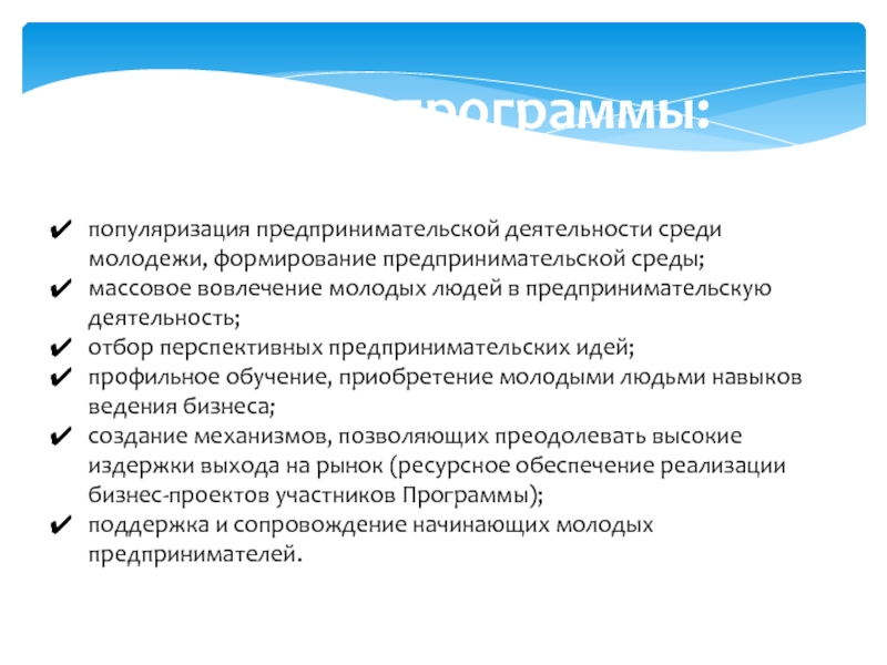 Проект вовлечение молодежи в предпринимательскую деятельность