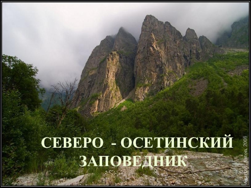 Северо- Осетинскии природный заповедник