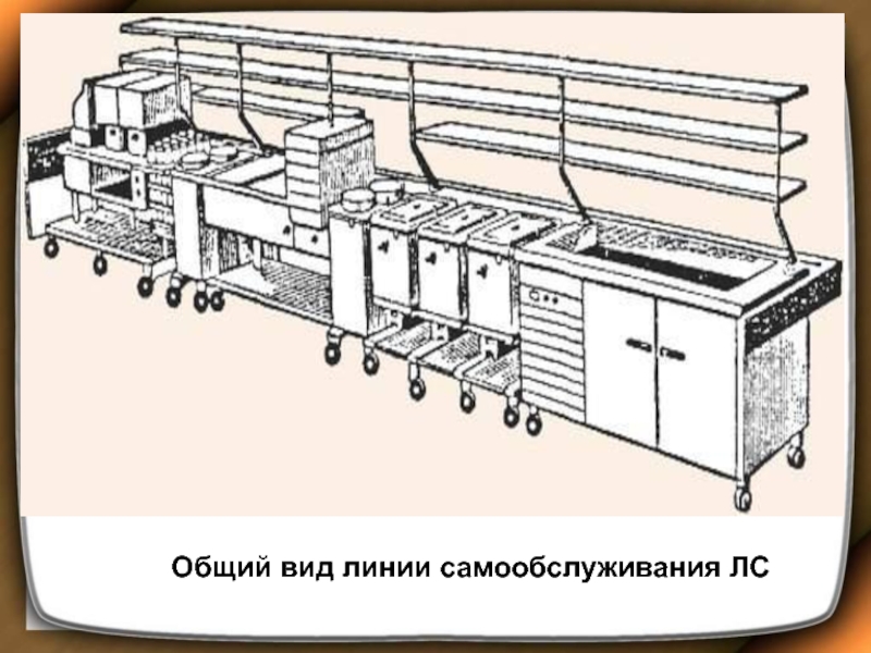 Линия питания. Линия раздачи схема. Линия прилавков самообслуживания. Схема линии раздачи в столовой. Линии самообслуживания в общественном питании.