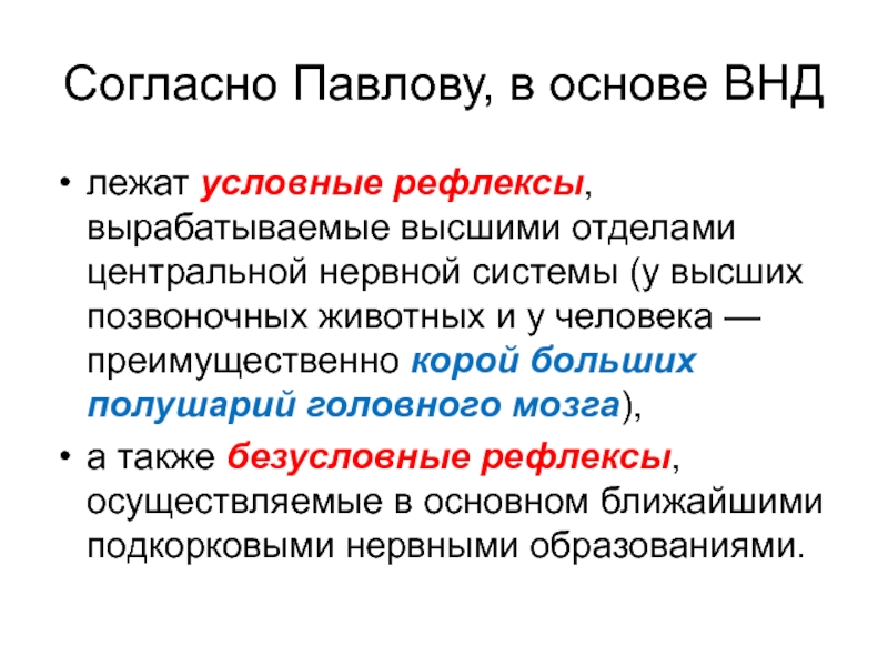 Высшая нервная деятельность презентация. Высшая нервная система презентация. Период вырабатывания ВНД.