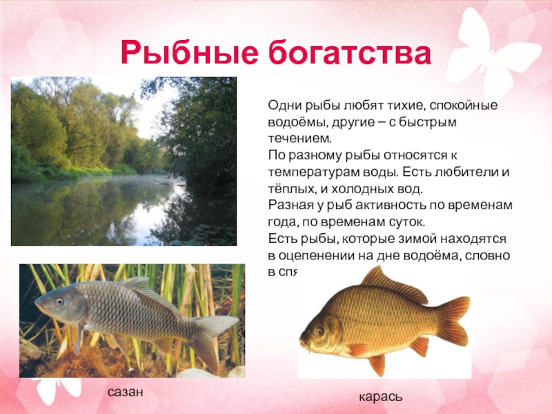 Код богатства рыбы