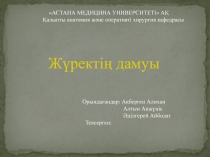 АСТАНА МЕДИЦИНА УНИВЕРСИТЕТ І  АҚ
Қалыпты анатомия және оперативті хирургия