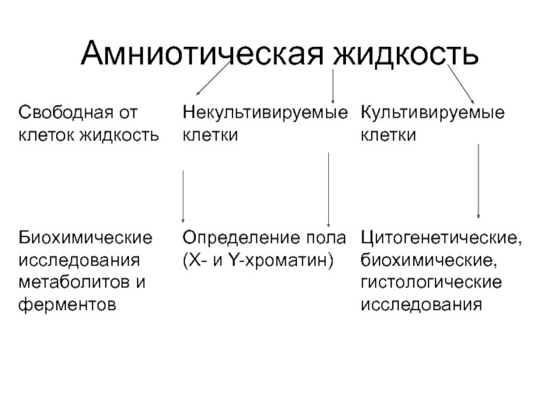 Амниотическая жидкость. Функции амниотической жидкости. Методы исследования околоплодной жидкости. Состав амниотической жидкости.