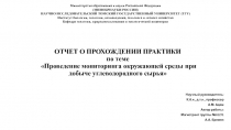 ОТЧЕТ О ПРОХОЖДЕНИИ ПРАКТИКИ по теме П роведение мониторинга окружающей среды