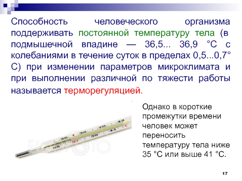 Как быстро поднять температуру. Способность поддерживать температуру тела. Постоянная температура тела. Как повысить температуру тела. Как поддерживать температуру организма.