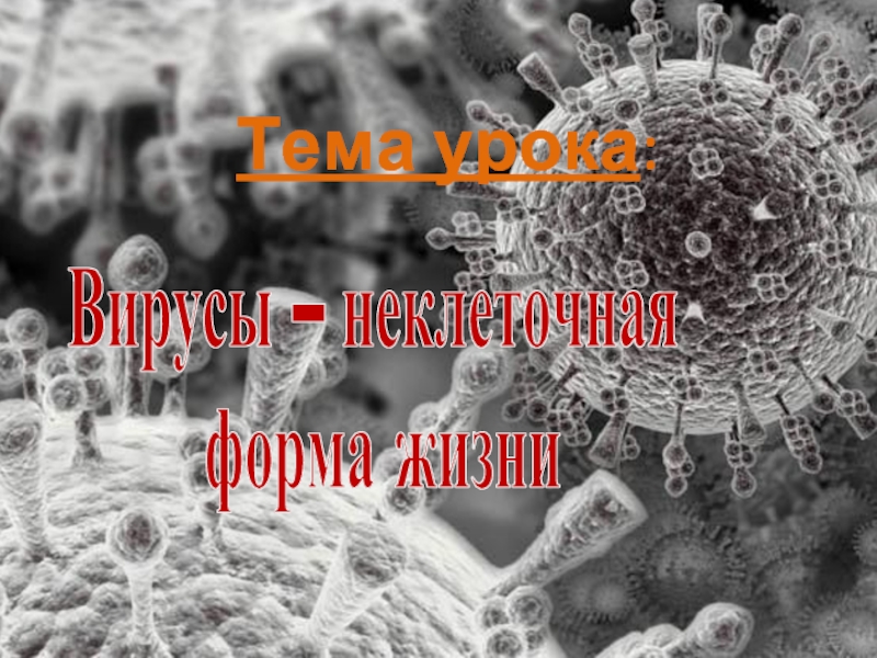 Жизнь без вирусов. Вирусы внеклеточная форма жизни. Занятие по вирусам. Простейшая неклеточная форма жизни. Бионуклиновая форма жизни.