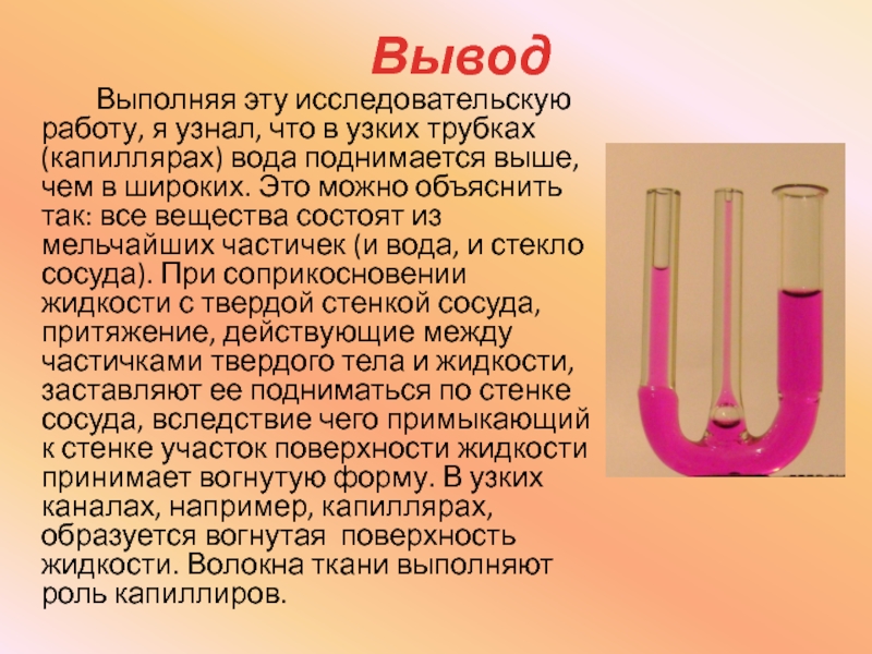 Вывод выполнить. Капиллярные явления в технике. Капиллярность в быту и природе. Капиллярность в быту и технике. Капилляры в быту.