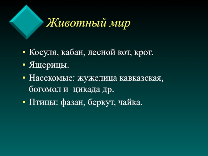 Презентация 4 класс субтропики