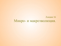 Лекция 16 Микро- и макроэволюция