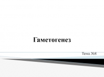 Гаметогенез