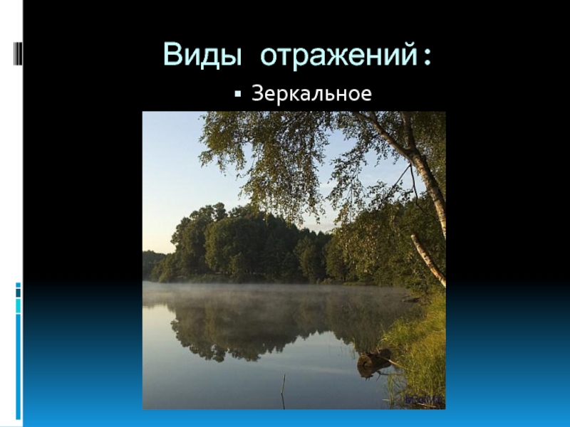 Отраженный вид. Что такое зеркальное отражение в литературе. Биология в зеркальном отражении. Миша в зеркальном отражении. Зеркальное отражение (рассказ).