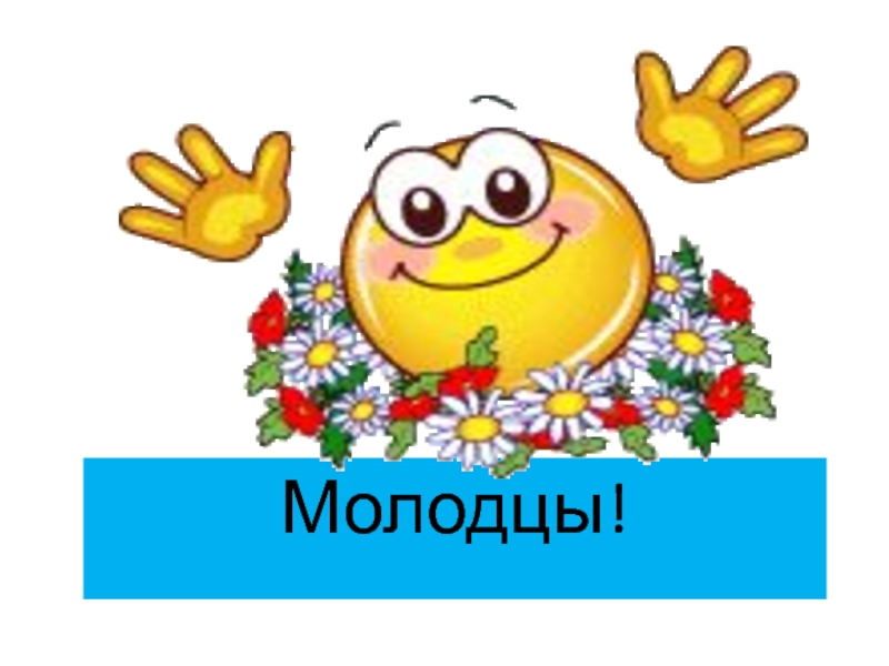 Молодец домой