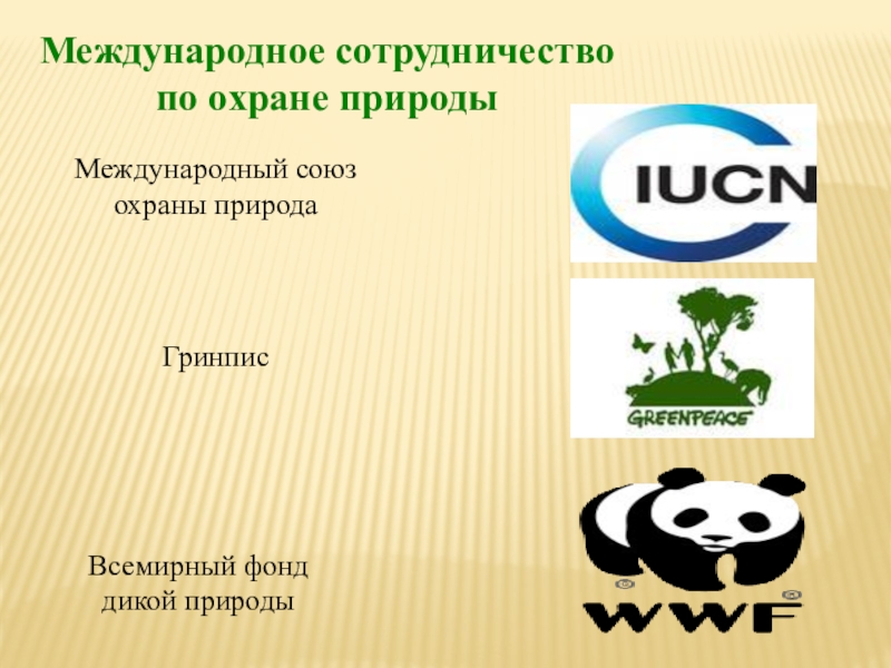 Экологическая организация презентация. Гринпис Всемирный фонд дикой природы. Международный Союз охрана природы ВВФ. Международное сотрудничество по охране природы. Гринпис охрана природы.