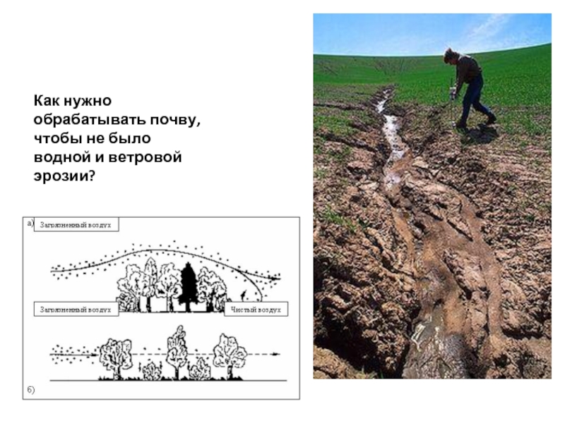 Схема эрозии почвы