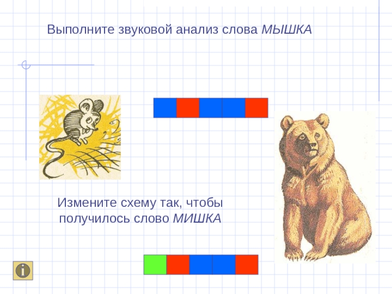 Звуковой разбор слова мышка схема цветная