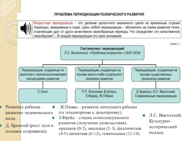 Презентация Развитие ребенка – развитие человеческого вида.
Д. Бромлей (рост тела и половое