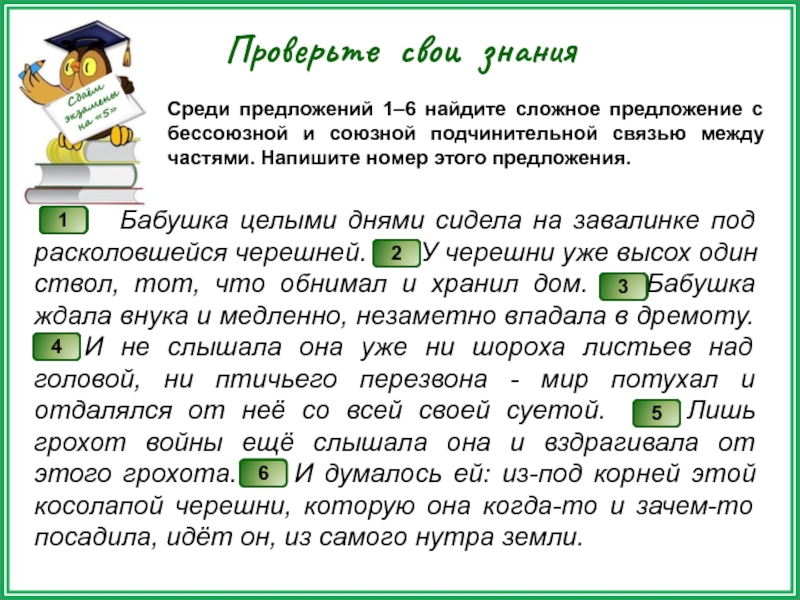 Сложные предложения с союзной и бессоюзной связью презентация 5 класс