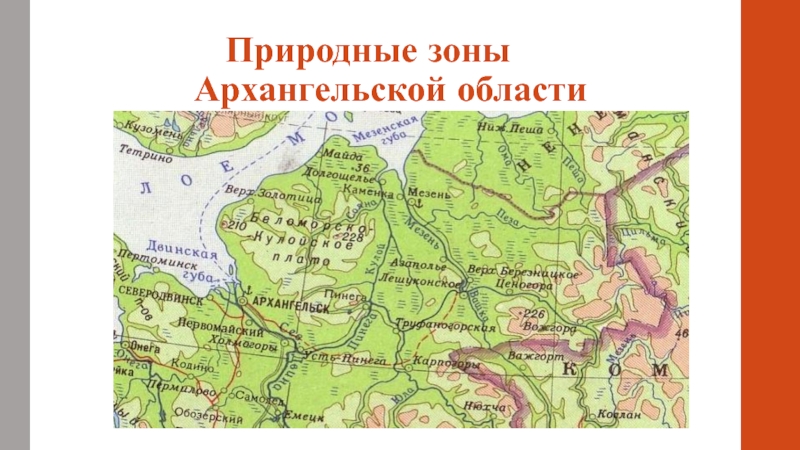 Природные зоны Архангельской области на карте. Какая природная зона в архангельской области