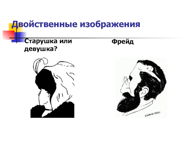 Смена образов при восприятии двойственных изображений связана с законом взаимной