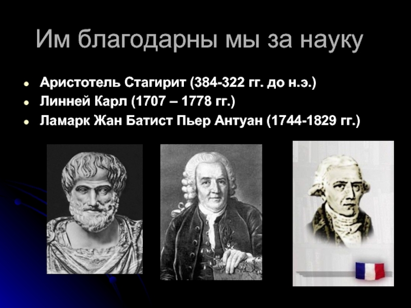 Тест история биологии. История развития биологии. Развитие биологии как науки. История развития биологии кратко. Аристотель Линней Ламарк.