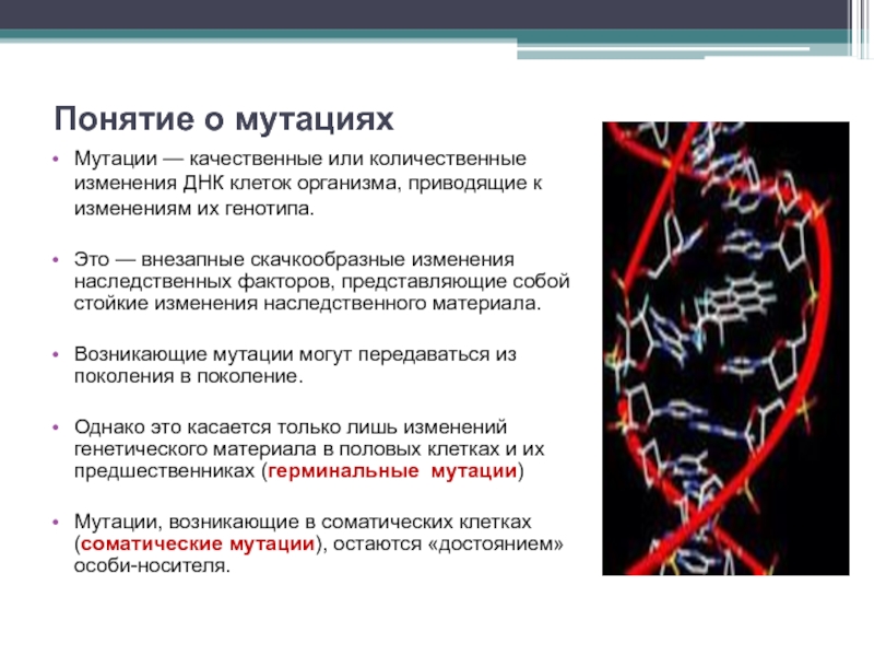 Пересадка днк. Понятие мутации. Изменение ДНК. Мутация ДНК. Мутационнаятеории канцерогенеза.