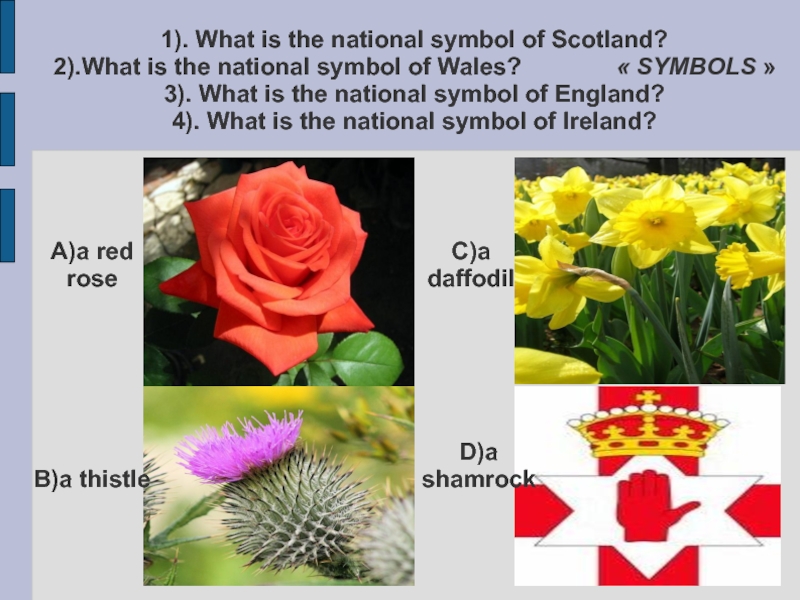 What is the symbol of scotland