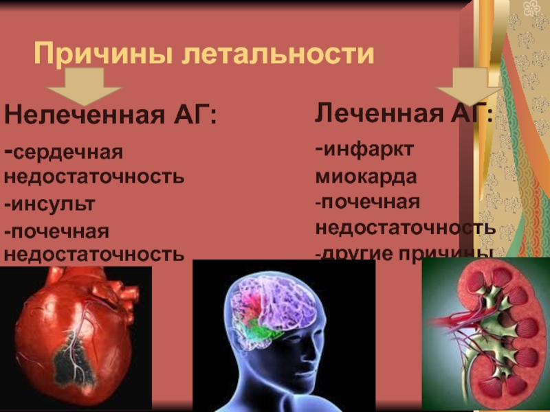 Поражением сердца с застойной сердечной недостаточностью. Сердечная и почечная недостаточность. Сердечная недостаточность и почки. Сердечная недостаточность и почечная недостаточность. Сердечьно почечьное недастаточьность.