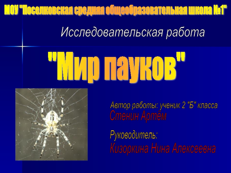 Презентация Исследовательская работа «Мир пауков»