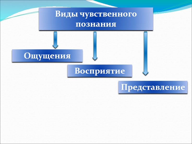 Чувственное познание ощущение восприятие. Способы познания окружающего мира Информатика 6. Способы познания окружающего мира Информатика 6 класс. Чувственное познание Информатика. Способы познания окружающего мира Информатика 6 класс таблица.