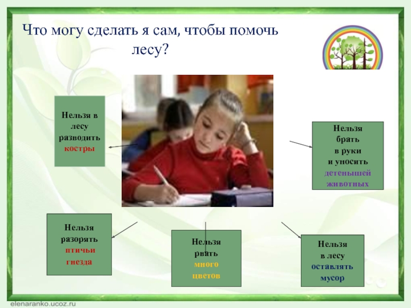 Удастся сделать. Чем можно помочь лесу. Чем я могу помочь лесу. Чем человек может помочь лесу. Как я могу помочь лесу.