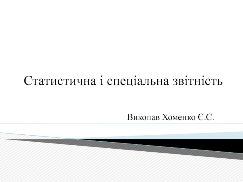 Статистична і спеціальна звітність