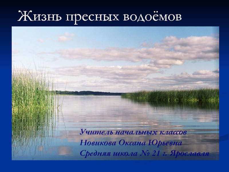 Жители пресных водоёмов.