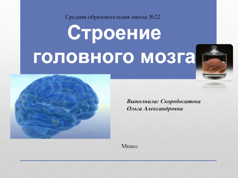 Презентация Головной мозг