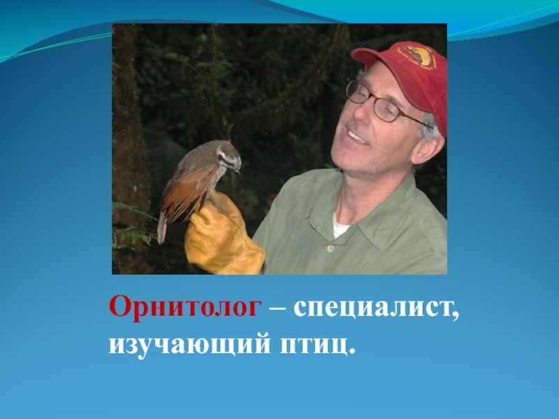 Специалист по птицам. Орнитолог профессия. Ученые изучающие птиц. Орнитолог специалист изучения птиц. Ученые которые изучают птиц.