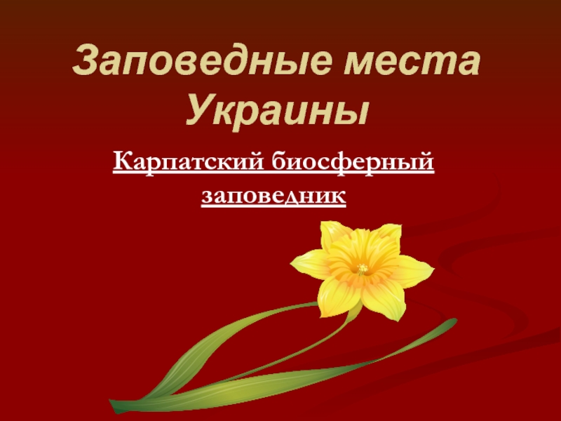 Заповедные места УкраиныКарпатский биосферный заповедник