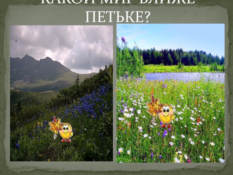 Ближайший мир. Презентация по Петьке на даче. Презентация Петька на даче 5 класс литература.