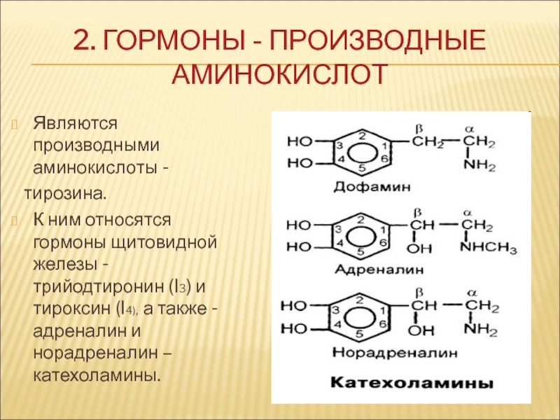 Тирозин для щитовидной железы. Гормон-производное тирозина. Гормоны производные аминокислот. Производные тирозина. Тирозин строение.