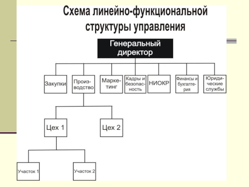 Линейно функциональная организационная структура. Линейно-функциональная организационная структура схема. Схема линейно-функциональной структуры управления предприятием. Линейно-функциональная структура управления схема. Линейно-функциональная организационная структура управления схема.