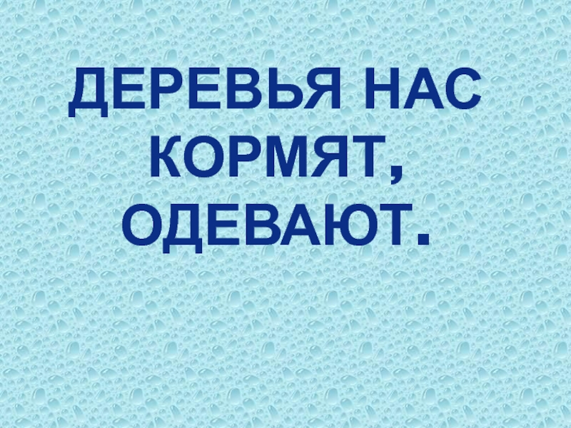 Презентация Деревья нас кормят, одевают