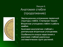 Лекция 6. Анатомия стебля (продолжение)