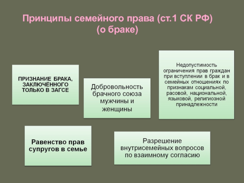 Принципы семейных брачных отношений. Принципы брака в семейном праве.